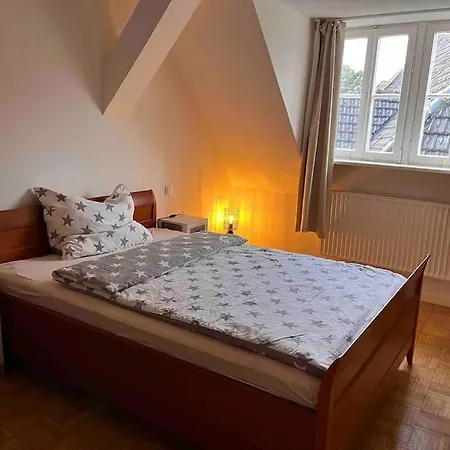 Lotos Im Idyllischen Schlosshof In Franken * Ebern
